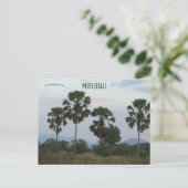 Borassus Aethiopum Palm in het Mvuu Camp in Malawi Briefkaart (Staand voorkant)