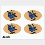 Borboleta Azul Ovale Sticker (Vel)