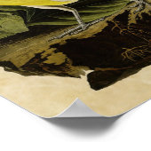 Bord 136 | Meadow Lark | Vogels van Amerika Poster (Hoek)