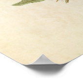 Bord 169 | Mangrove Cuckoo | Vogels van Amerika Poster (Hoek)