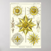 Bord 21 poster (Voorkant)