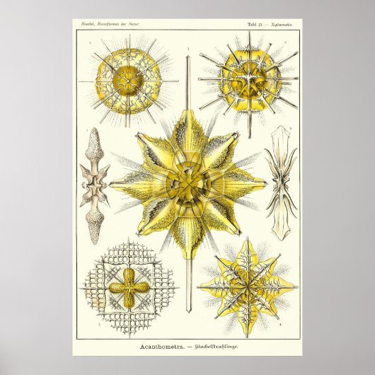 Bord 21 poster (Voorkant)