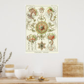 Bord 26 Trachomedus Poster (Keuken)