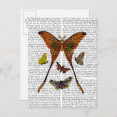 BORD 2 BRIEFKAART (Voorkant / Achterkant)