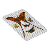 BORD 2 MAGNEET (Rechterzijde)