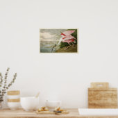 Bord 321 | Roseate Spoonbill | Vogels van Amerika Poster (Keuken)
