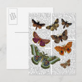 BORD 3 BRIEFKAART (Voorkant / Achterkant)