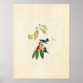 Bord 48 | Azure Warbler | Vogels van Amerika Poster