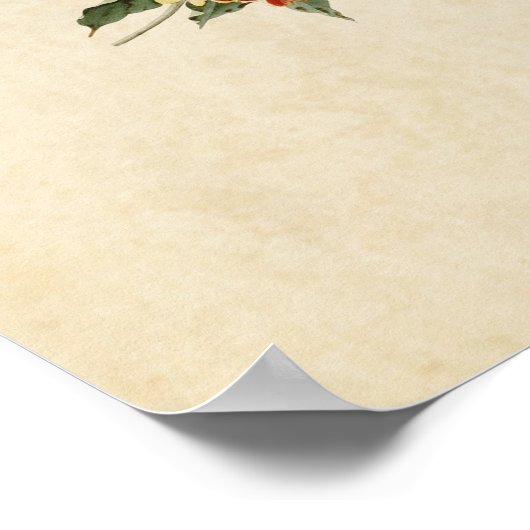 Bord 65 | Rathbone Warbler | Vogels van Amerika Poster (Hoek)