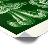 Bord 88. Discomedusae. Poster (Hoek)