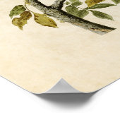 Bord 92 | Pigeon Hawk | Vogels van Amerika Poster (Hoek)