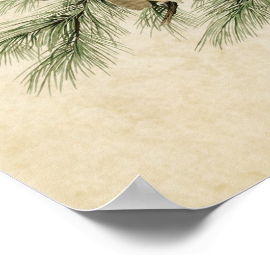 Bord 97 | Little Screech Owl | Vogels van Amerika Poster (Hoek)