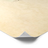 Bord 98 | Witte-Bellied slib Poster (Hoek)