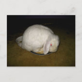 bord briefkaart (Voorkant)