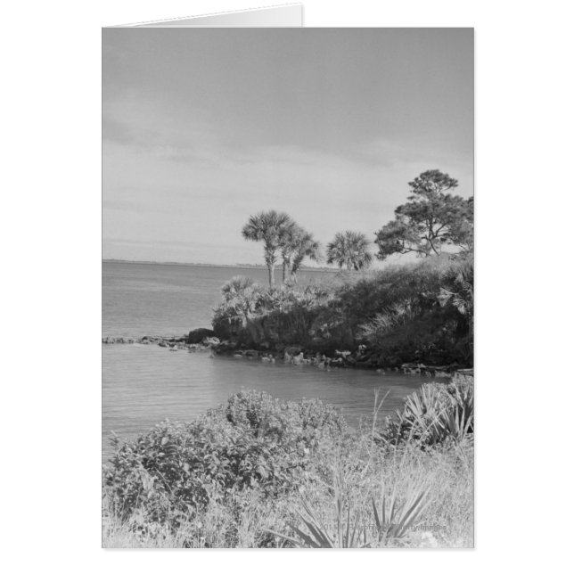 Bord de mer (Devant)