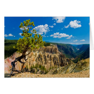 Bord du canyon de Yellowstone