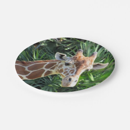 Bord Giraffe (Gekanteld)