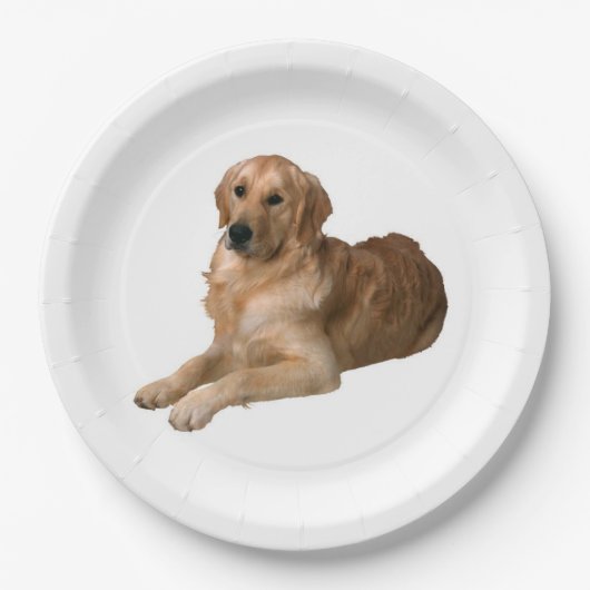 Bord Golden Retriever Paper (Voorkant)