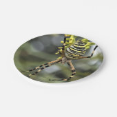 Bord Halloween Spider Paper (Gekanteld)