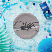 Bord Halloween Spider Paper (Feest)