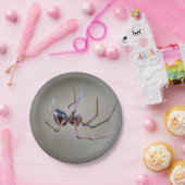 Bord Halloween Spider Paper (Feest)