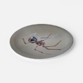 Bord Halloween Spider Paper (Gekanteld)