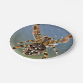 Bord Halloween Spider Paper (Gekanteld)