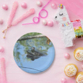 Bord kikkerpapier (Feest)