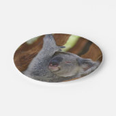 Bord Peekaboo Koala (Gekanteld)