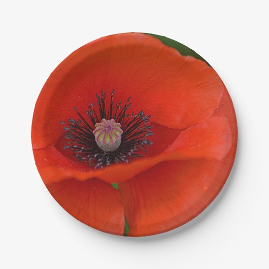 Bord rood Papier (Voorkant)