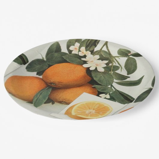 BORD sinaasappels (Gekanteld)