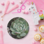 Bord Succulent papier (Feest)