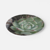 Bord Succulent papier (Gekanteld)