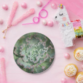 Bord Succulent papier (Feest)