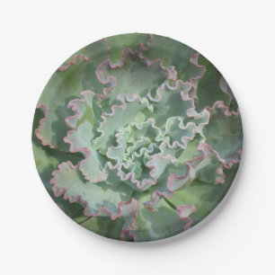 Bord Succulent papier