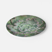 Bord Succulent papier (Gekanteld)