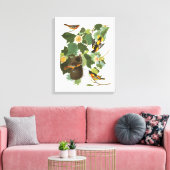 Bord van Audubon 12 Baltimore Oriole Canvas Afdruk (Insitu (Woonkamer))