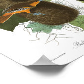 Bord van Audubon 12 Baltimore Oriole Poster (Hoek)