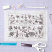 Bord van het Franse Woordenboek Print-No.22138-Flo Tissuepapier (Craft)