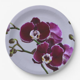Bord van Paars orchidepapier