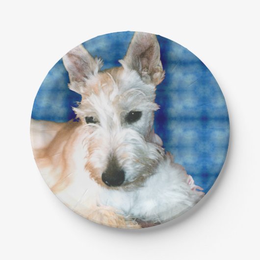 Bord van Scottie Paper (Voorkant)