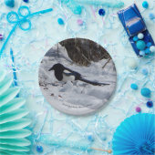 Bord van zwart geblazen Rocky Mountain Magpie-papi (Feest)