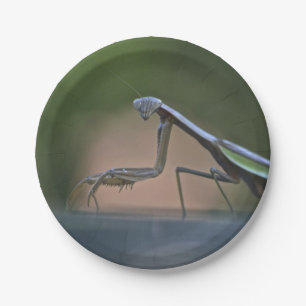 Bord voor gebeten Mantis Paper