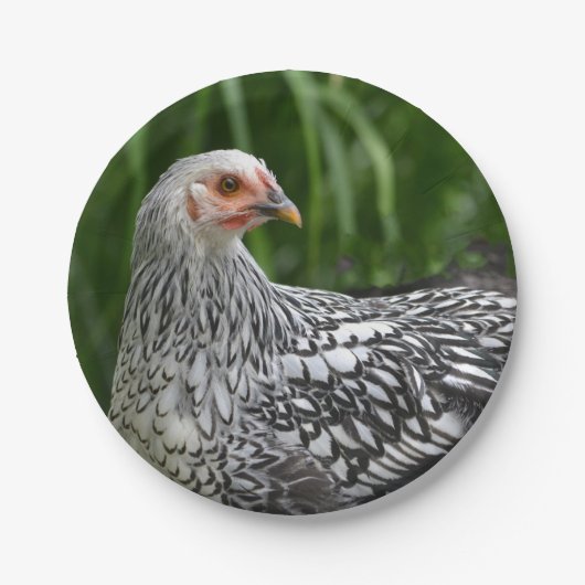 Bord voor schrijfpapier (Voorkant)