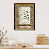 Bord Voynich 12 Poster (Keuken)