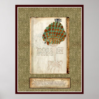 Bord Voynich 22 Poster