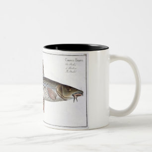 Bord XVIII van Barbel (Cyprinus Barbus) uit 'Ichth Tweekleurige Koffiemok