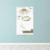 Bord XX: De verspreiding en werking van de pedalen Canvas Afdruk (Insitu (Houten vloer))