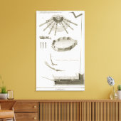 Bord XX: De verspreiding en werking van de pedalen Canvas Afdruk (Insitu (Woonkamer))