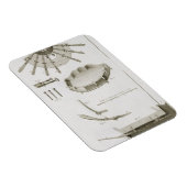 Bord XX: De verspreiding en werking van de pedalen Magneet (Rechterzijde)